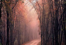 如何開(kāi)展水土保持現(xiàn)場(chǎng)巡視工作？