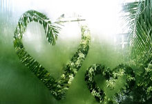 如果工程已完工，補辦水土保持方案報告書，監(jiān)測工作還需要開展嗎？